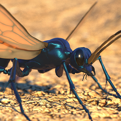 Scientific - Wasp 3D Sculpt - Evelyn Lockhart